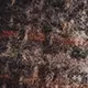 כובע מצחייה Rope Logo