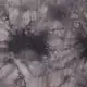 חולצה קצרה בגזרת אוברסייז