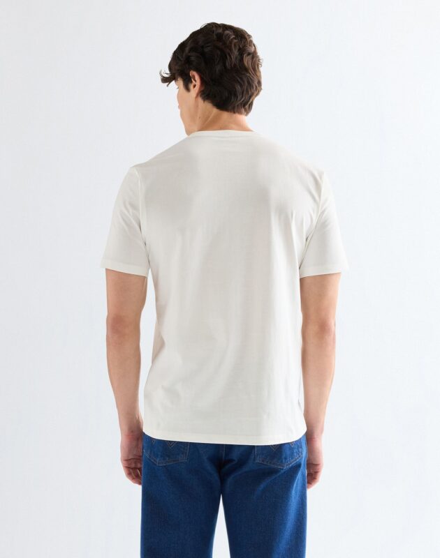 חולצת טי שירט קצרה