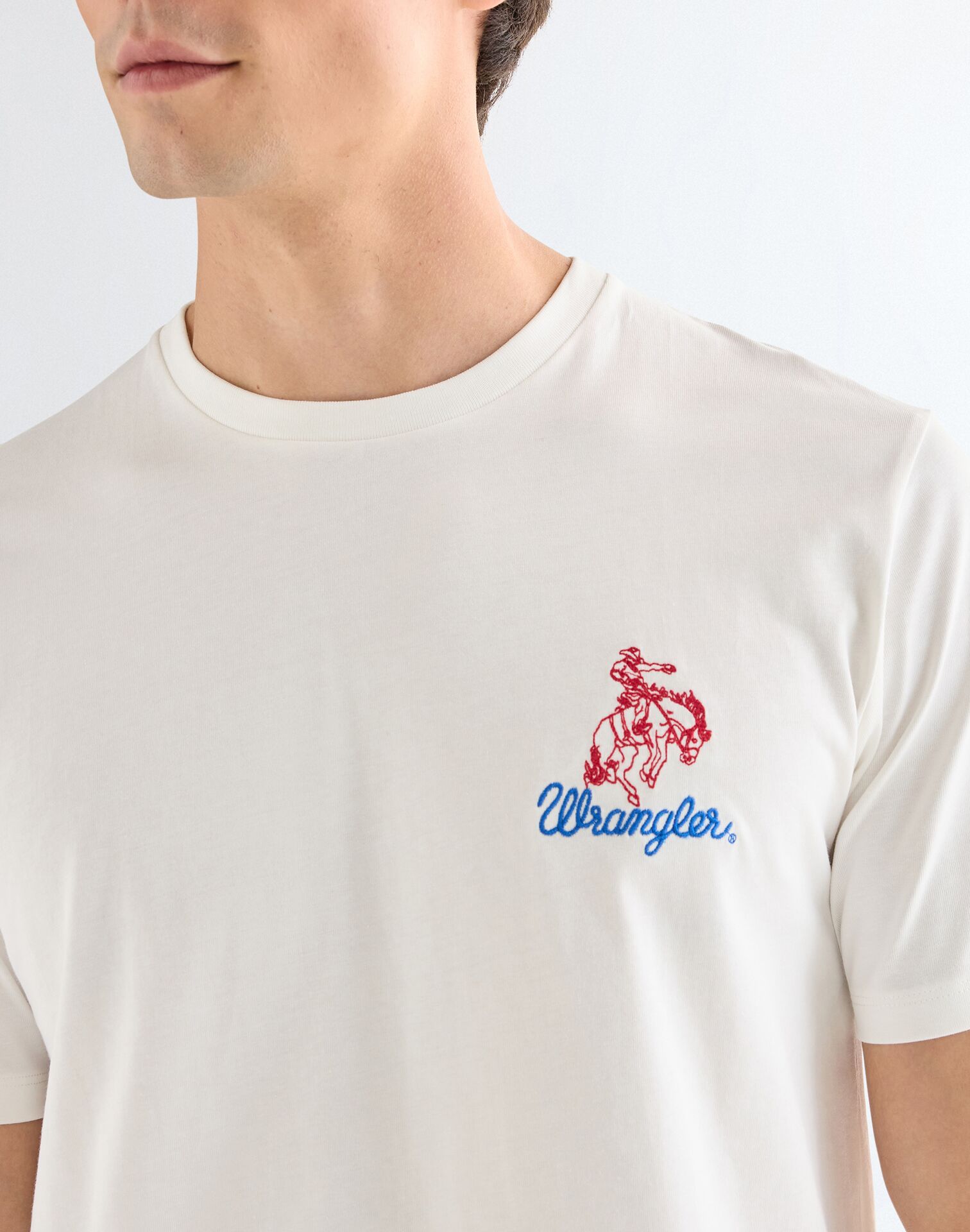 חולצת טי שירט קצרה – תמונה 4