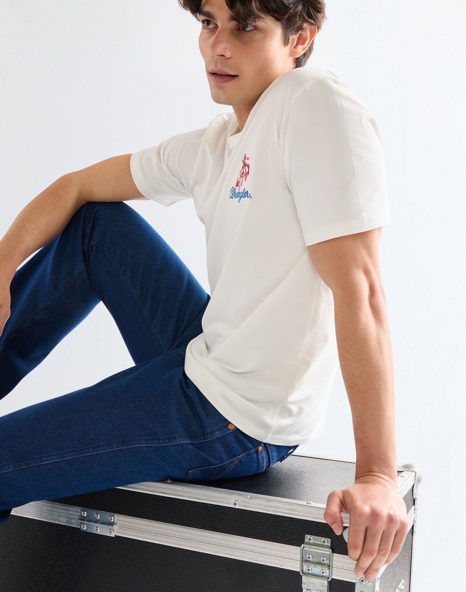 חולצת טי שירט קצרה – תמונה 5